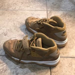 Charles Barkley basketball shoes, Air Max